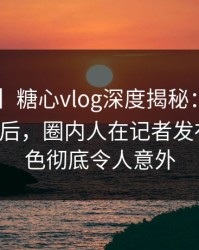 【震惊】糖心vlog深度揭秘：唐心vlog风波背后，圈内人在记者发布会的角色彻底令人意外