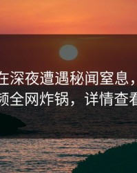 当事人在深夜遭遇秘闻窒息，樱桃视频全网炸锅，详情查看