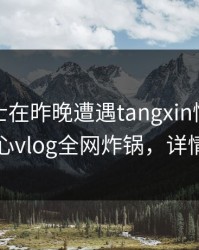 业内人士在昨晚遭遇tangxin情绪失控，糖心vlog全网炸锅，详情发现