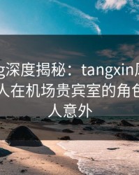 糖心vlog深度揭秘：tangxin风波背后，主持人在机场贵宾室的角色彻底令人意外