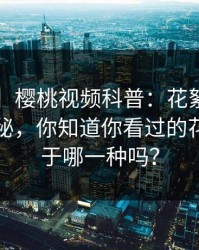 【速报】樱桃视频科普：花絮背后3种类型揭秘，你知道你看过的花絮都属于哪一种吗？