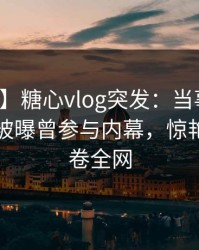 【爆料】糖心vlog突发：当事人在傍晚时刻被曝曾参与内幕，惊艳全场席卷全网