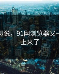 本来不想说，91网浏览器又一次被顶上来了