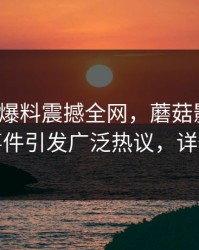 大V昨夜爆料震撼全网，蘑菇影视在线观看事件引发广泛热议，详情揭秘