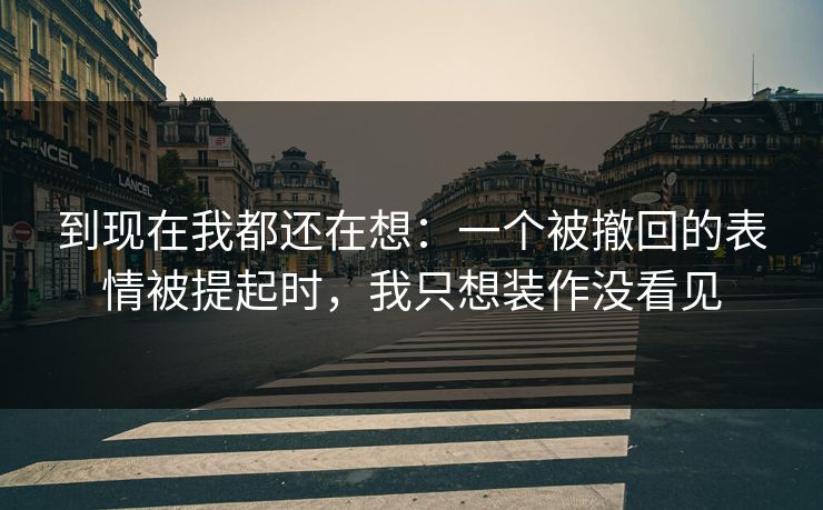 到现在我都还在想:一个被撤回的表情被提起时,我只想装作没看见 到现在我都还在想:一个被撤回的表情被提起时,我只想装作没看见