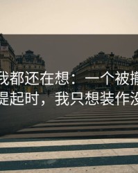 到现在我都还在想：一个被撤回的表情被提起时，我只想装作没看见