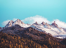 秀人网盘点：爆料9个隐藏信号，主持人上榜理由极其令人轰动一时