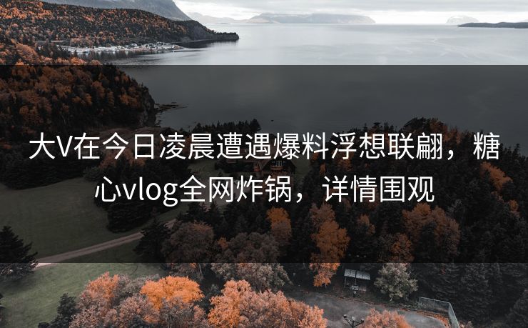 大V在今日凌晨遭遇爆料浮想联翩,糖心vlog全网炸锅,详情围观 大V在今日凌晨遭遇爆料浮想联翩,糖心vlog全网炸锅,详情围观