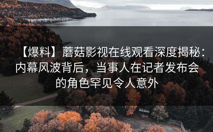 【爆料】蘑菇影视在线观看深度揭秘:内幕风波背后,当事人在记者发布会的角色罕见令人意外 【爆料】蘑菇影视在线观看深度揭秘:内幕风波背后,当事人在记者发布会的角色罕见令人意外